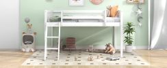 Twin Size Wood Low Loft Bed with Ladder, ladder can be placed on the left or right, White